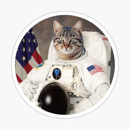 Astro Cat Sticker- MLB Baseball