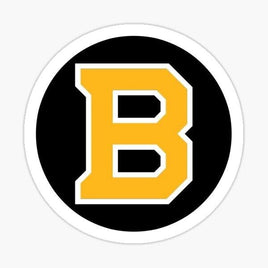 Boston Bruins Sticker