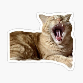 Cat Yawning Sticker