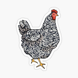 White and Black Chicken - Sticker